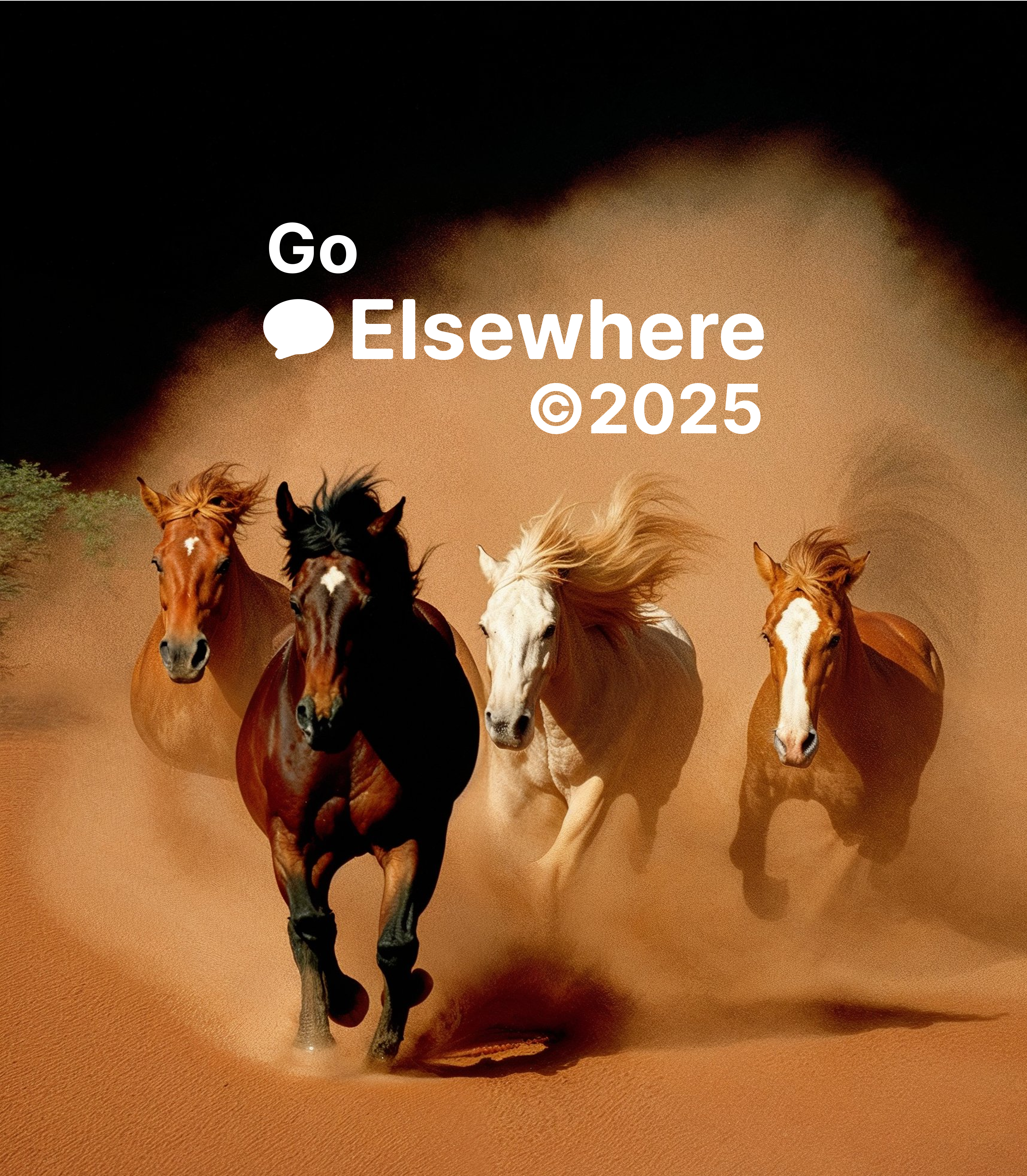 Horses illustration